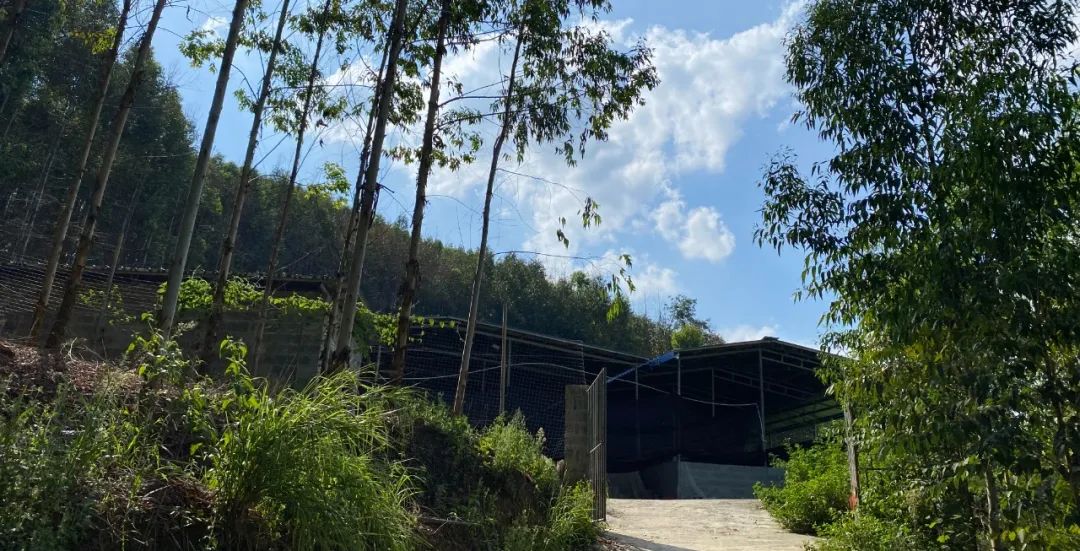 村集體經(jīng)濟(jì)4 村集體經(jīng)濟(jì)4