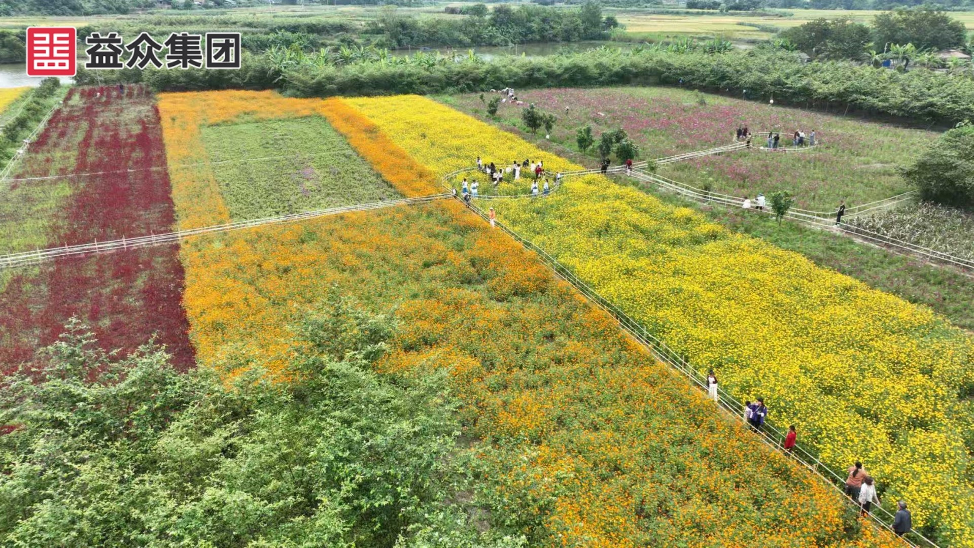 花海3_副本 花海3_副本